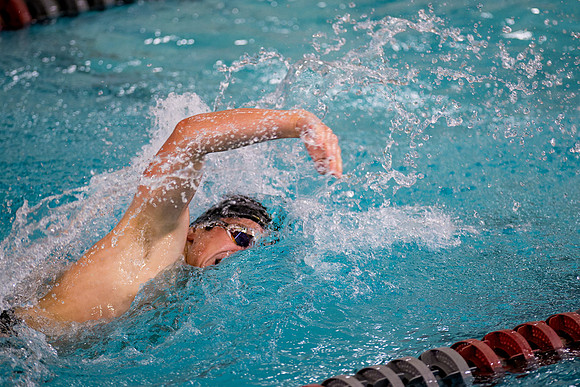 swimming_2025-02-08_ah_0051