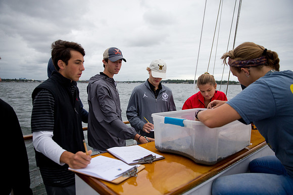 marinebio_soundwater_us_mkras_0092
