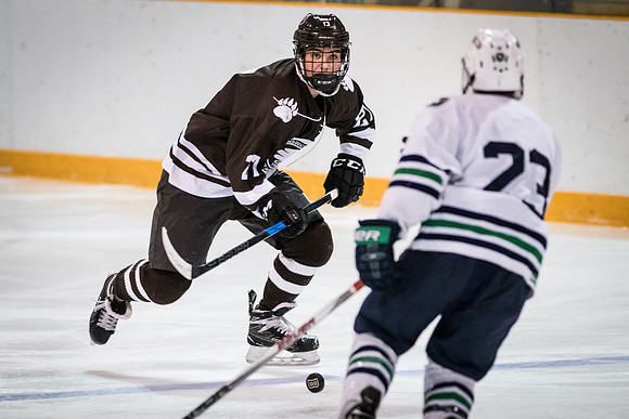 hockey_2018-01-27_wkl_8190