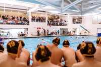 Water Polo, Varsity (vs Greenwich HS)