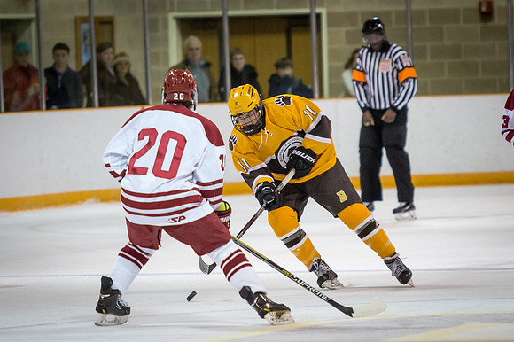 hockey_2016-01-06_jfess_7829