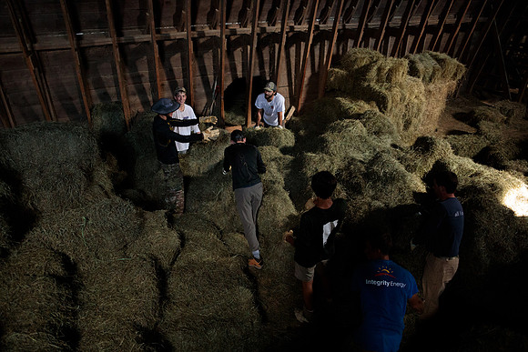 randolphvt1819_trip01_goatfarm_bdf_7458