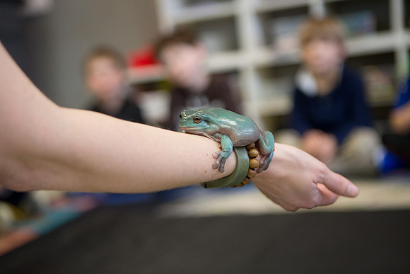 animalembassy_ps_mkras_0136