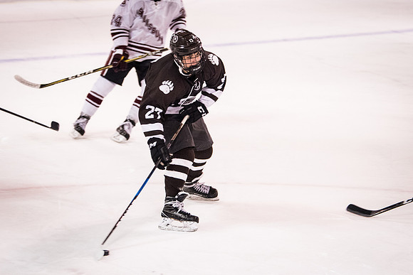 hockey_2018-01-29_wkl_9619