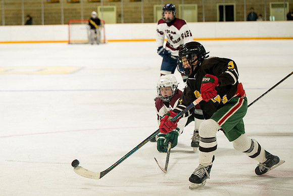 hockey_ms2_2025-01-29_ah_0109