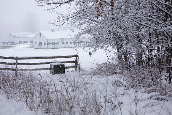 randolphvt1819_trip04_snowday_bdf_2974