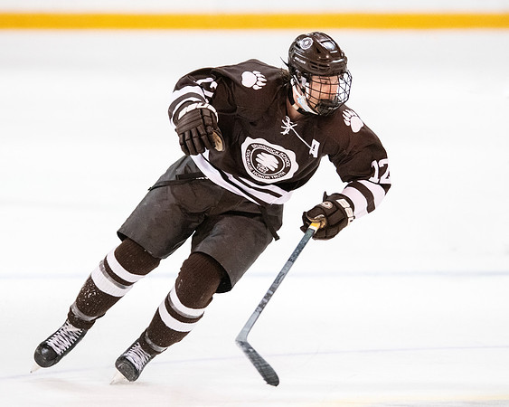 hockey_2022-02-02_dburns2_3619