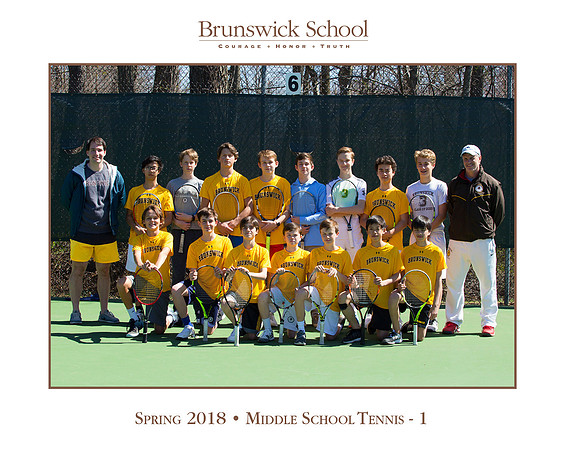 team_spring1718_tennis_ms1