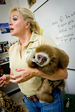 animals_us_1564