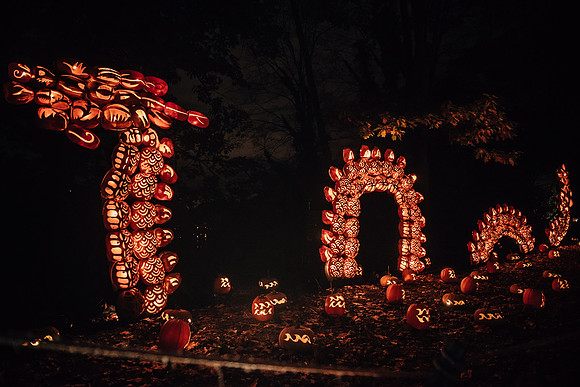 pumpkinblaze17_hp_3712