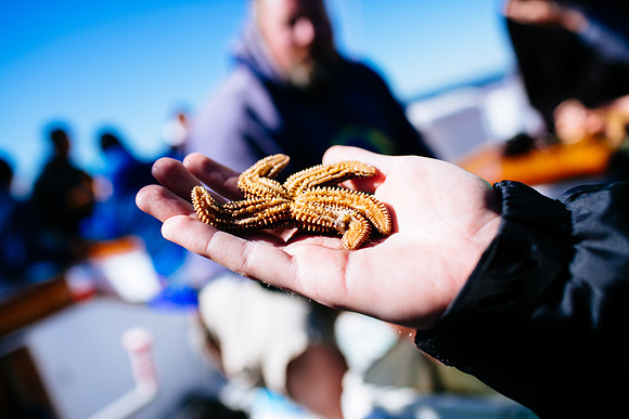 marinebio_soundwaters_jk_7592