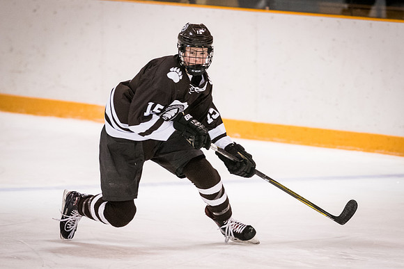 hockey_2018-01-27_wkl_8244