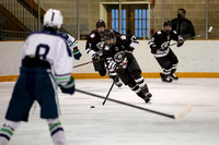 Hockey, Varsity (vs Williston Northampton)