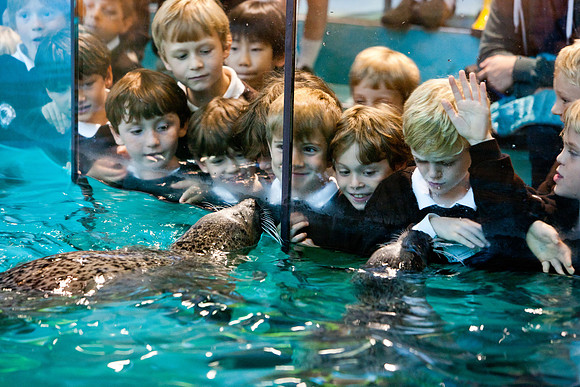 aquarium_ls_mkras_2426