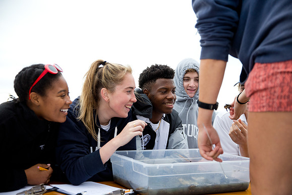 marinebio_soundwater_us_mkras_0079