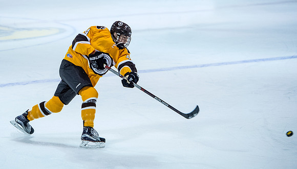 hockey_2016-12-10_dburns_6233