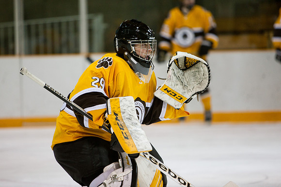 hockey_2014-01-09_westminster_mkras_0007