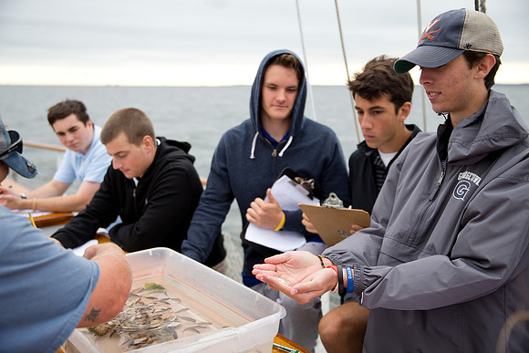 marinebio_soundwater_us_mkras_0190