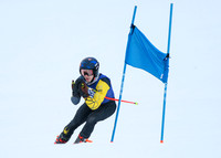 ski_2025-01-29_wkl1_3699