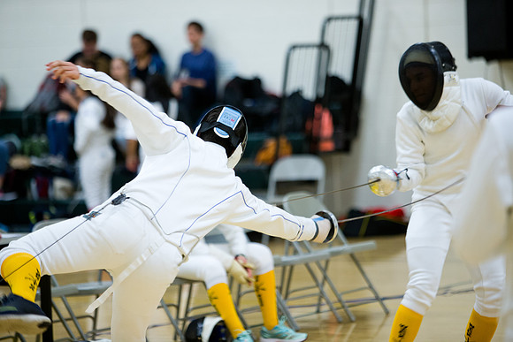 fencing_2015-12-10_mk_0004