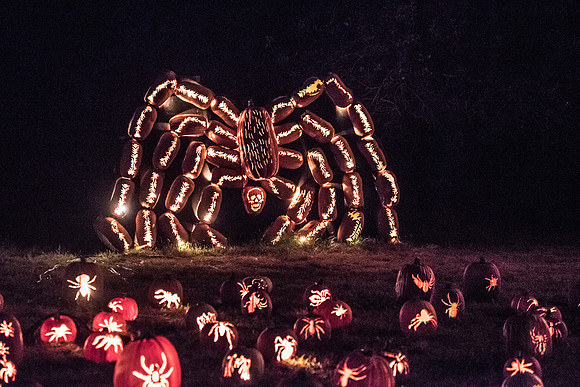 pumpkinblaze_hp_8290