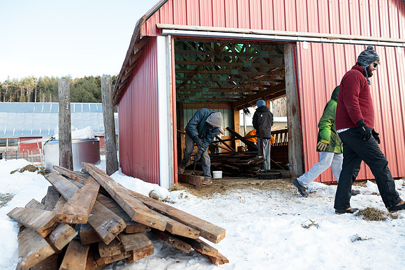 randolphvt1819_trip05_goatfarm_bdf_9637