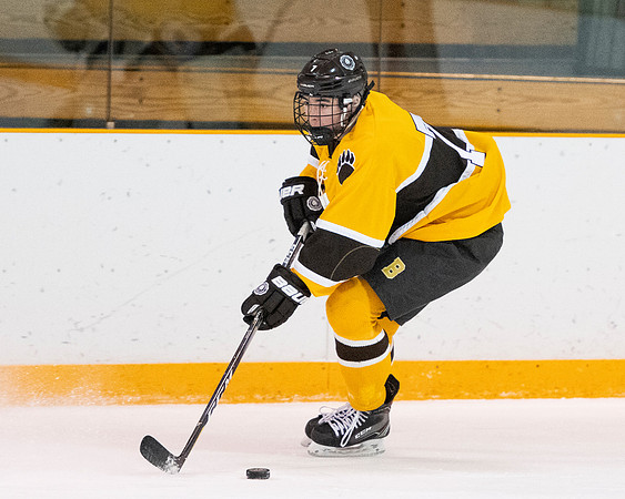 hockey_2019-01-12_dburns_4543