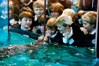 LS visits Norwalk Aquarium