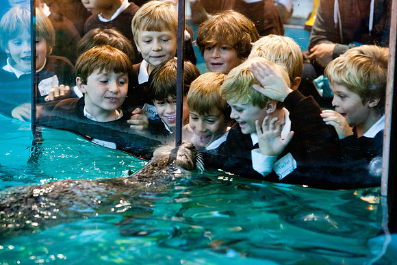 aquarium_ls_mkras_2417