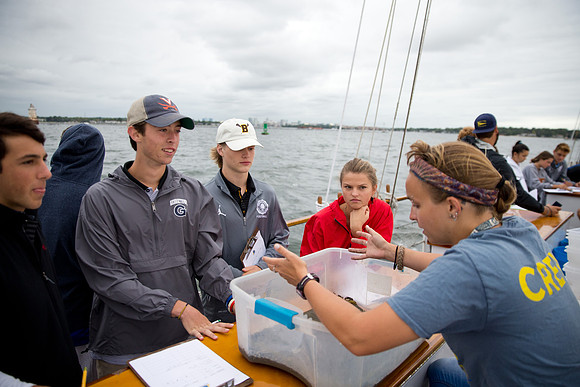 marinebio_soundwater_us_mkras_0089