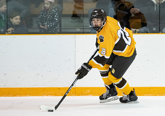 hockey_2019-01-12_dburns_4576