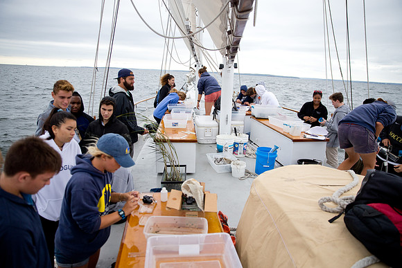 marinebio_soundwater_us_mkras_0270