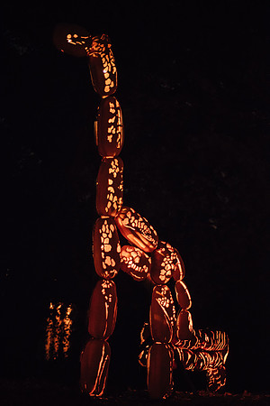 pumpkinblaze17_hp_3628