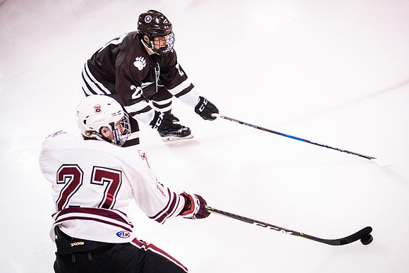 hockey_2018-01-29_wkl_9510