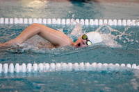 swimming_ms_2022-02-03_gh_0002
