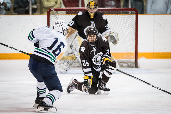 hockey_2018-01-27_wkl_8222