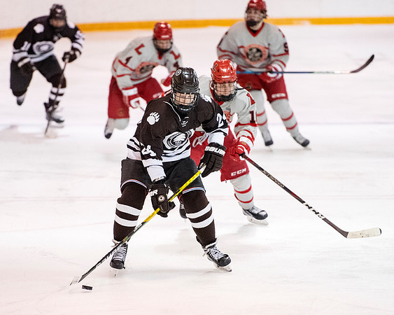 hockey_2022-02-02_dburns1_4665