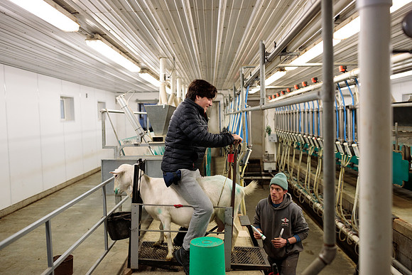 randolphvt1819_trip05_goatfarm_bdf_9365