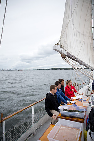 marinebio_soundwater_us_mkras_0343