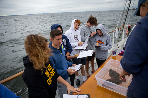marinebio_soundwater_us_mkras_0208