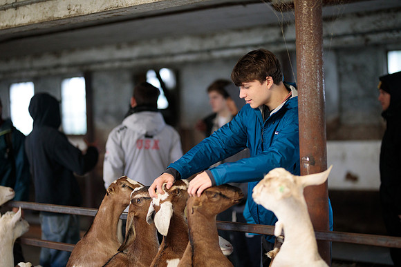 randolphvt1819_trip02_goatfarm_bdf_1642