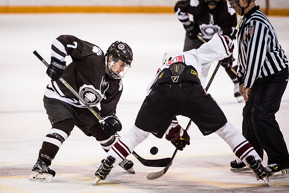 hockey_2018-01-29_wkl_9545