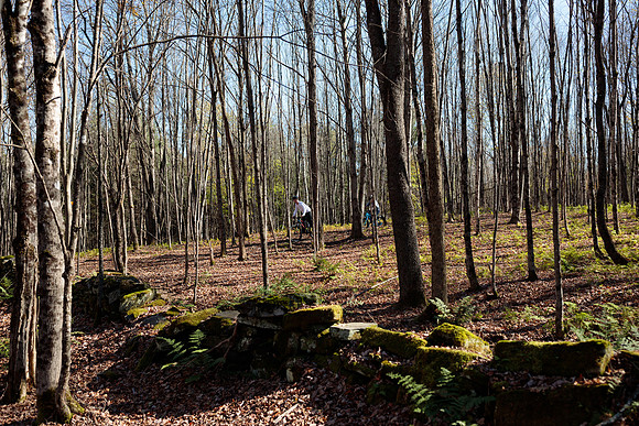 randolphvt1819_trip03_mtbike_bdf_1866