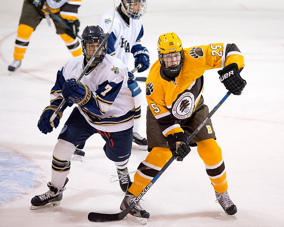 hockey_2015-12-04_db_9356