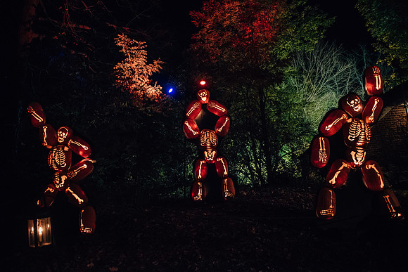 pumpkinblaze17_hp_3246