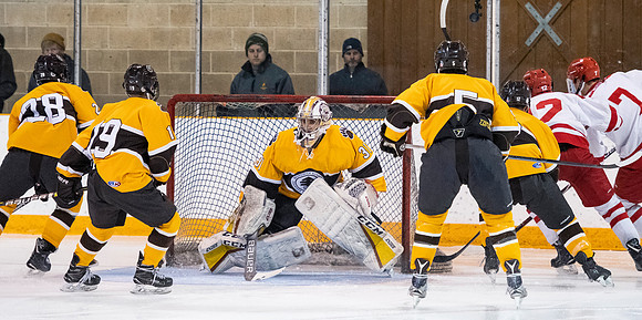 hockey_2019-01-12_dburns_4388