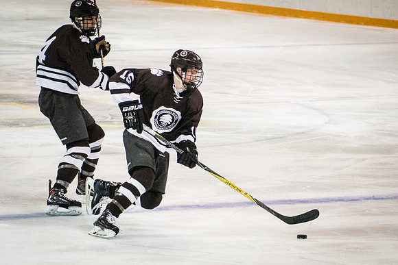 hockey_2018-01-27_wkl_8209