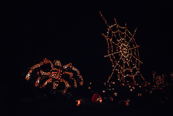 pumpkinblaze17_hp_3406