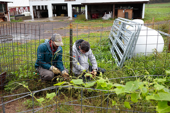 randolphvt1819_trip02_goatfarm_bdf_6306
