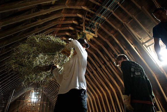 randolphvt1819_trip01_goatfarm_bdf_7393
